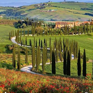 Alloggio per agriturismo Baccoleno, Asciano